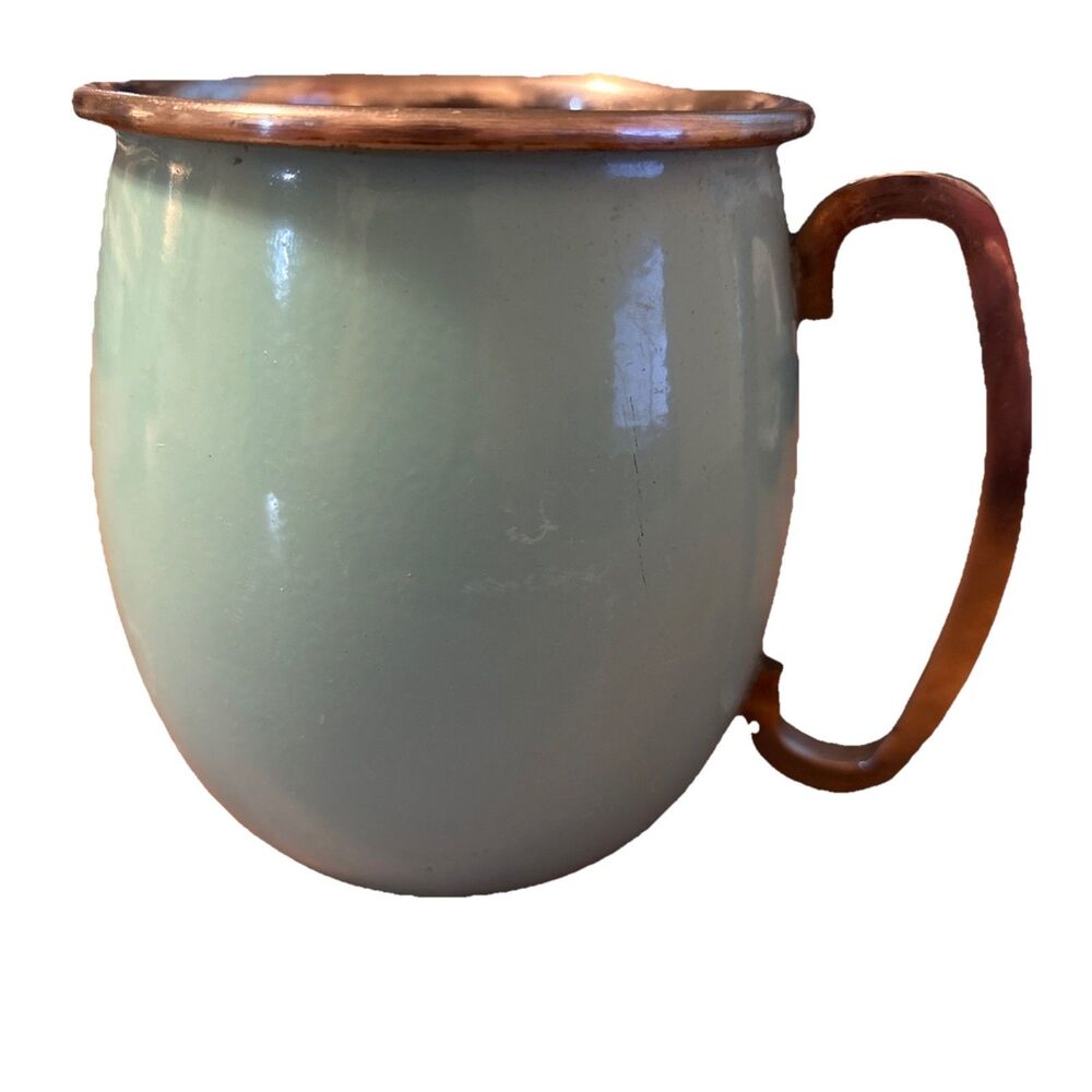 Unbranded Light Blue Enamel Coated 8 Ounce Metal Mug Cup Retro Camping
